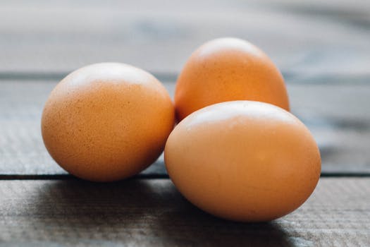 Eat Your Eggs - And I Mean the Whole Egg! by Elmira Family Chiropractic