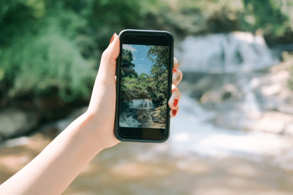 The Highlight Reel by Elmira Family Chiropractic