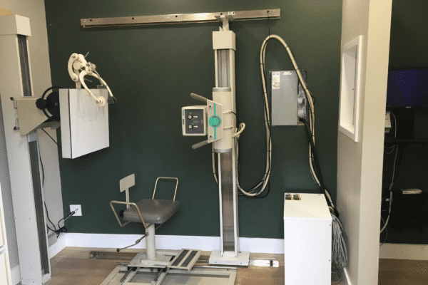 Alignment is Normal by Elmira Family Chiropractic