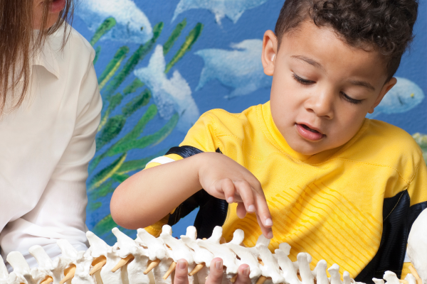 Why I Get Checked by Elmira Family Chiropractic